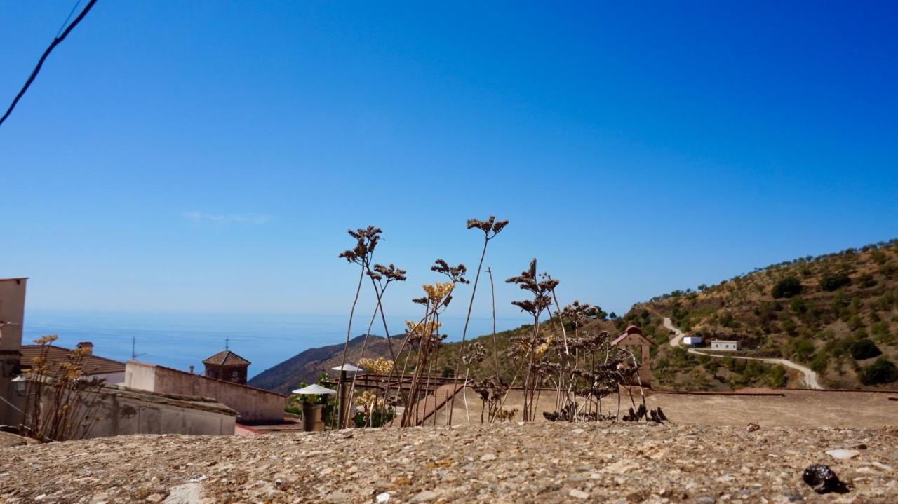 Casa Amigos Sorvilan - La Almendra Ngoại thất bức ảnh