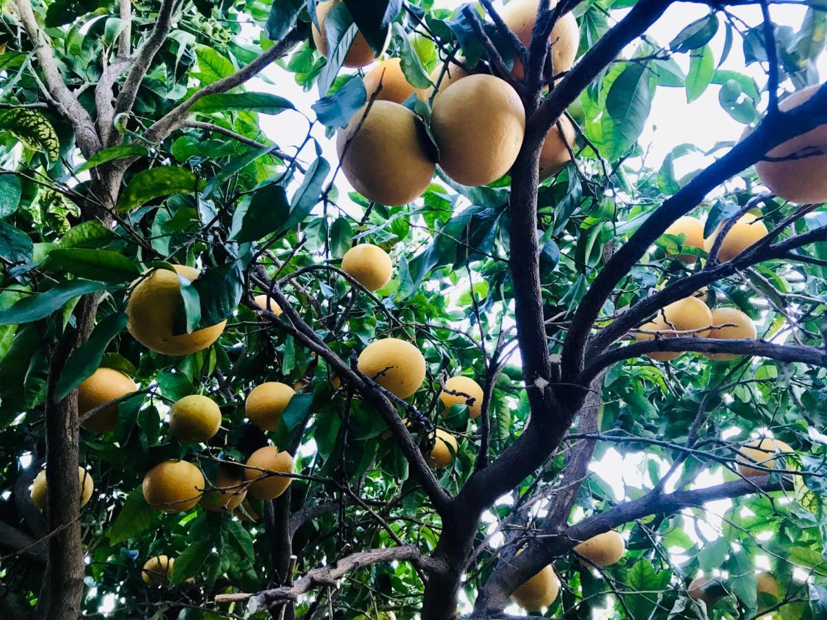 Casa Amigos Sorvilan - La Almendra Ngoại thất bức ảnh