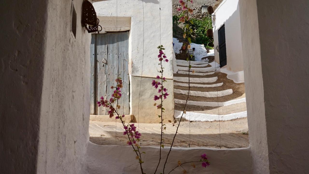 Casa Amigos Sorvilan - La Almendra Ngoại thất bức ảnh